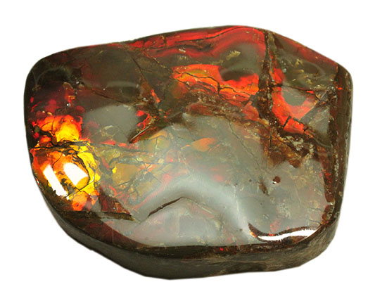 化石で唯一宝石として認定されているアンモライトの大型ピース。濃い赤と緑を堪能できます。（その9）