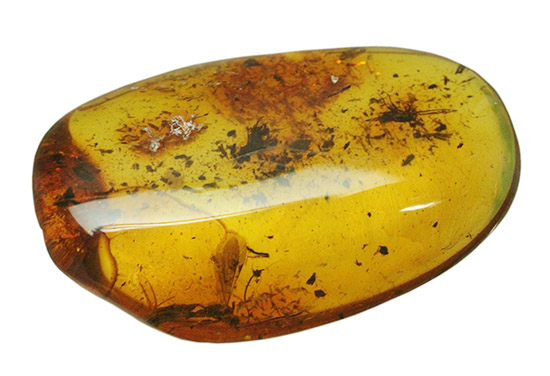 ブランド産地バルト海産の琥珀(Amber)美しい飴色。(その1)