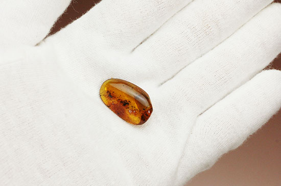 ブランド産地バルト海産の琥珀(Amber)美しい飴色。(その2)