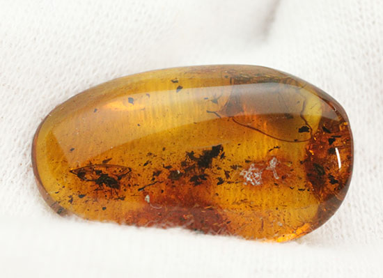 ブランド産地バルト海産の琥珀(Amber)美しい飴色。(その3)