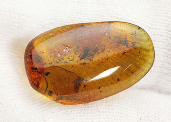 ブランド産地バルト海産の琥珀(Amber)美しい飴色。(その4)