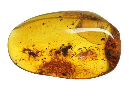 ブランド産地バルト海産の琥珀(Amber)美しい飴色。(その9)