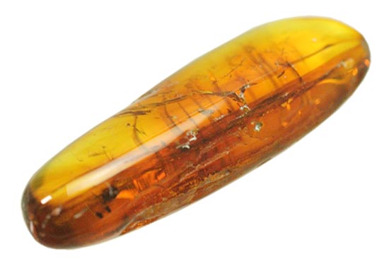レモン色、オレンジ色・・・。琥珀色を満喫できる、バルト海産虫入り琥珀(Amber)/新生代（6500万年前 -- 現在）【ot902】