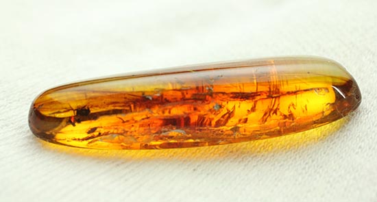 レモン色、オレンジ色・・・。琥珀色を満喫できる、バルト海産虫入り琥珀(Amber)(その10)