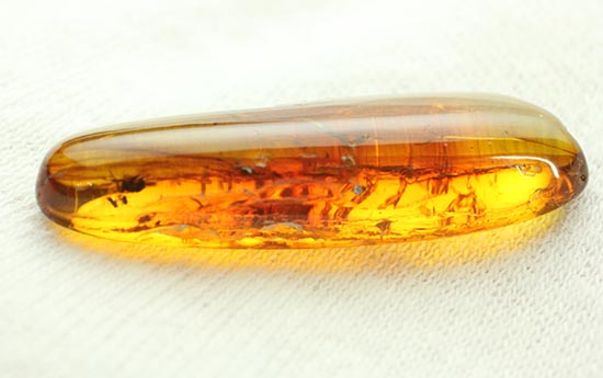 レモン色、オレンジ色・・・。琥珀色を満喫できる、バルト海産虫入り琥珀(Amber)(その11)