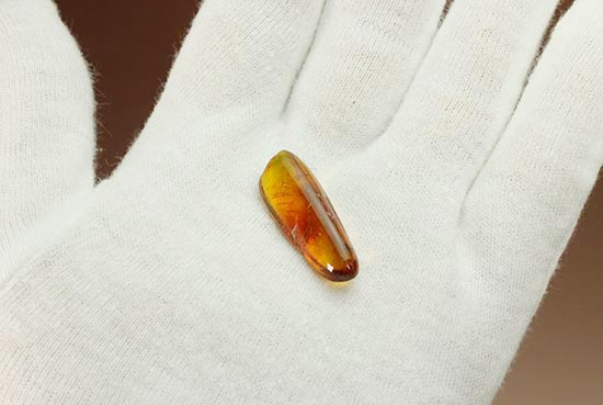 レモン色、オレンジ色・・・。琥珀色を満喫できる、バルト海産虫入り琥珀(Amber)（その2）