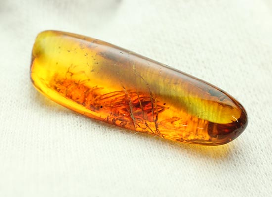 レモン色、オレンジ色・・・。琥珀色を満喫できる、バルト海産虫入り琥珀(Amber)/新生代（6500万年前 -- 現在）【ot902】