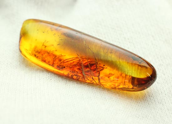 レモン色、オレンジ色・・・。琥珀色を満喫できる、バルト海産虫入り琥珀(Amber)(その4)