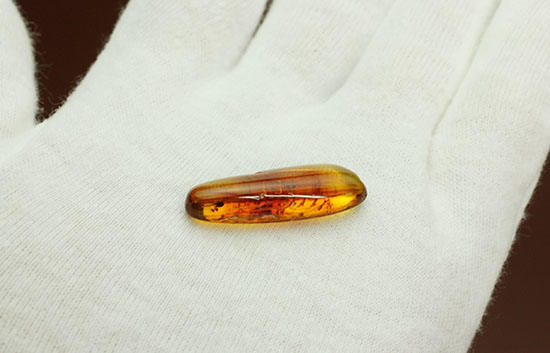 レモン色、オレンジ色・・・。琥珀色を満喫できる、バルト海産虫入り琥珀(Amber)(その8)