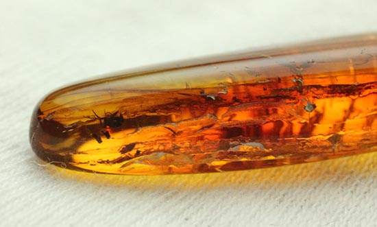 レモン色、オレンジ色・・・。琥珀色を満喫できる、バルト海産虫入り琥珀(Amber)(その9)