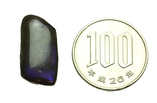 深い青と紫色が美しい、ドロップ型アンモライト化石(Ammolite)/中生代白亜紀（1億3500万 -- 6500万年前）【al158】