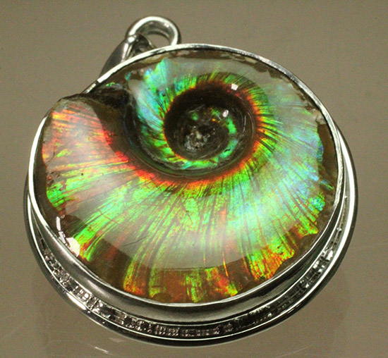 惚れ惚れする輝き！イリデッセンスアンモナイトのペンダントトップ(Ammonite)（その1）