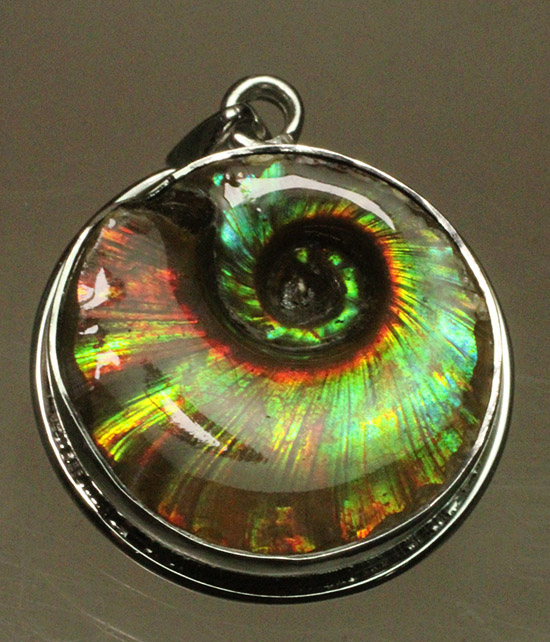 惚れ惚れする輝き!イリデッセンスアンモナイトのペンダントトップ(Ammonite)(その12)
