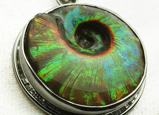 惚れ惚れする輝き!イリデッセンスアンモナイトのペンダントトップ(Ammonite)(その4)