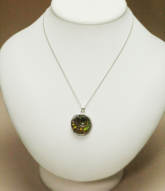 惚れ惚れする輝き!イリデッセンスアンモナイトのペンダントトップ(Ammonite)(その6)