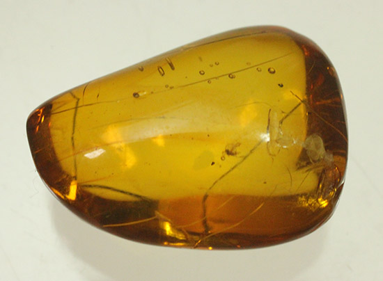 虫が２匹内包されています！透明感のあるドミニカ産虫入り琥珀(Amber)/新生代（6500万年前 -- 現在）【ot957】