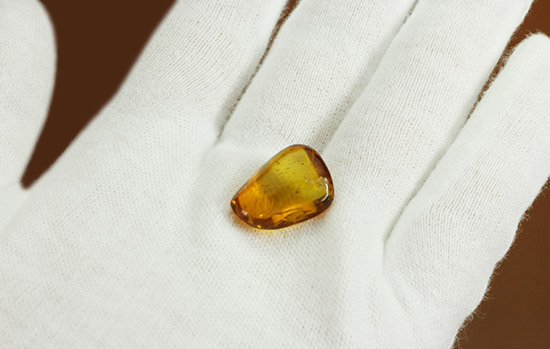 虫が2匹内包されています!透明感のあるドミニカ産虫入り琥珀(Amber)(その2)