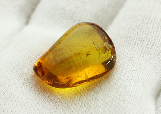 虫が2匹内包されています!透明感のあるドミニカ産虫入り琥珀(Amber)(その3)
