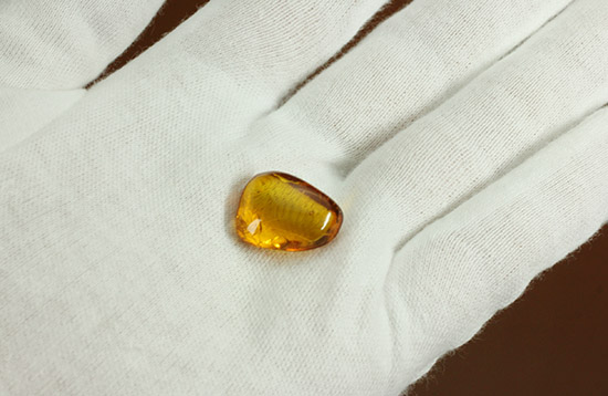 虫が2匹内包されています!透明感のあるドミニカ産虫入り琥珀(Amber)(その6)
