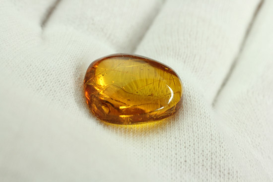 虫が２匹内包されています！透明感のあるドミニカ産虫入り琥珀(Amber)/新生代（6500万年前 -- 現在）【ot957】