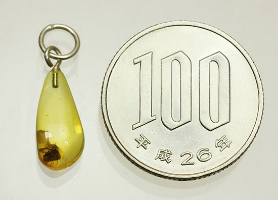 琥珀から逃れようとした虫の流れが見られます。バルト海産の虫入り琥珀ペンダントトップ(シルバーチェーン付き)(その10)