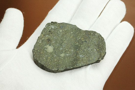 これぞロマンの塊！太陽系最古の物質でもある、アエンデ隕石のスライス標本。/新生代（6500万年前 -- 現在）【ot964】