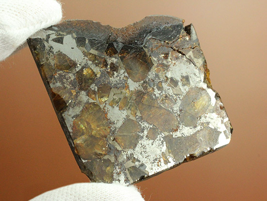 あのパラサイト隕石をこのプライスで！1810年ベラルーシに落下した石鉄隕石パラサイト。（その1）