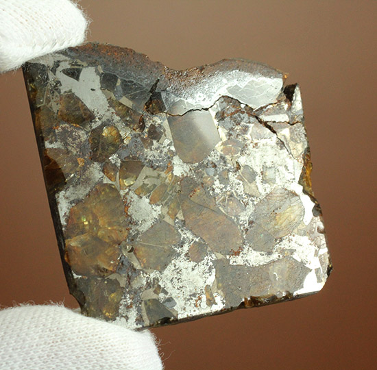 あのパラサイト隕石をこのプライスで！1810年ベラルーシに落下した石鉄隕石パラサイト。（その11）