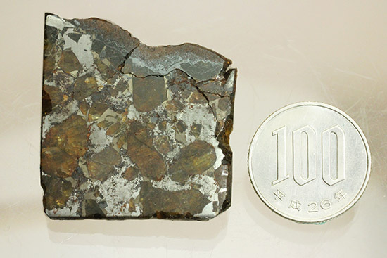 あのパラサイト隕石をこのプライスで！1810年ベラルーシに落下した石鉄隕石パラサイト。/新生代（6500万年前 -- 現在）【ot965】