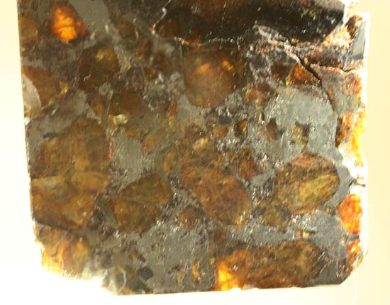 あのパラサイト隕石をこのプライスで！1810年ベラルーシに落下した石鉄隕石パラサイト。（その2）
