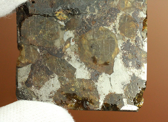 あのパラサイト隕石をこのプライスで！1810年ベラルーシに落下した石鉄隕石パラサイト。（その4）