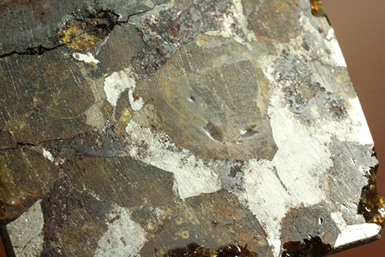 あのパラサイト隕石をこのプライスで！1810年ベラルーシに落下した石鉄隕石パラサイト。（その6）