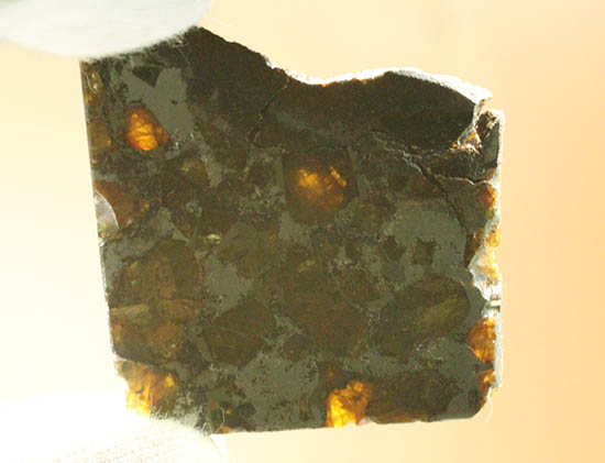 あのパラサイト隕石をこのプライスで！1810年ベラルーシに落下した石鉄隕石パラサイト。（その7）