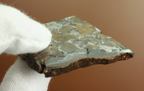 あのパラサイト隕石をこのプライスで！1810年ベラルーシに落下した石鉄隕石パラサイト。（その9）