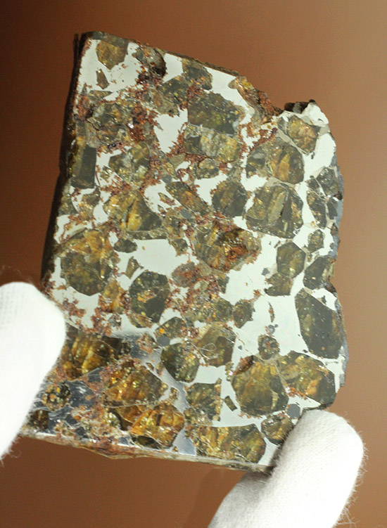 あっと驚くリーズナブルプライス！希少な石鉄隕石、パラサイト。ブラヒン隕石。/新生代（6500万年前 -- 現在）【ot967】