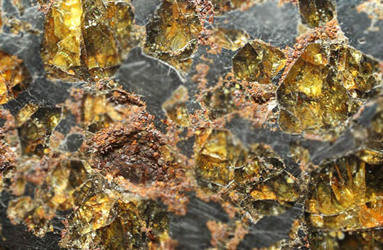 希少な石鉄隕石、パラサイト。ブラヒン隕石。（その14）