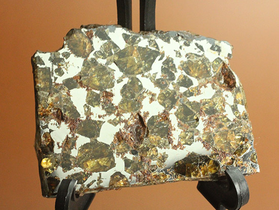 あっと驚くリーズナブルプライス！希少な石鉄隕石、パラサイト。ブラヒン隕石。/新生代（6500万年前 -- 現在）【ot967】