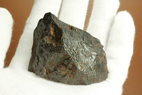 鉄隕石！キャニオン・ディアブロ。あのバリンジャー・クレーターを造った隕石の断片。（その8）