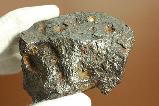 鉄隕石！キャニオン・ディアブロ。あのバリンジャー・クレーターを造った隕石の断片。（その9）