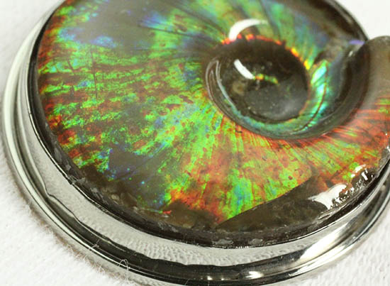 貴方の個性を存分に引き出すユニークなアンモナイトの殻を使ったペンダントトップ(その9)