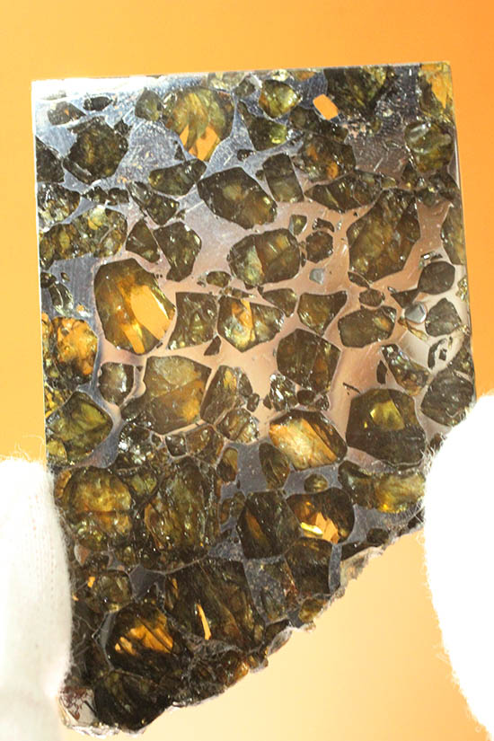 ベストクオリティ！イエロー・グリーンのカンラン石を含むパラサイト隕石のスライス。セイムチャン隕石（高級保存ケース付）/新生代（6500万年前 -- 現在）【ot1015】
