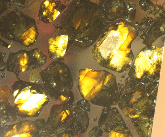 ベストクオリティ！イエロー・グリーンのカンラン石を含むパラサイト隕石のスライス。セイムチャン隕石（高級保存ケース付）（その10）