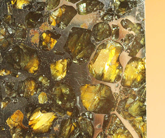 ベストクオリティ！イエロー・グリーンのカンラン石を含むパラサイト隕石のスライス。セイムチャン隕石（高級保存ケース付）/新生代（6500万年前 -- 現在）【ot1015】