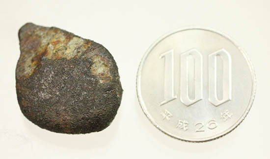 4年前の冬に世界中のニュースをかっさらったチェリャビンスク隕石。2013年2月15日落下（高級保存ケース付）（その11）