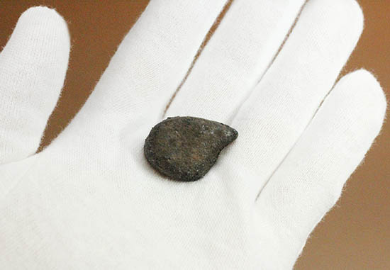 4年前の冬に世界中のニュースをかっさらったチェリャビンスク隕石。2013年2月15日落下（高級保存ケース付）（その3）