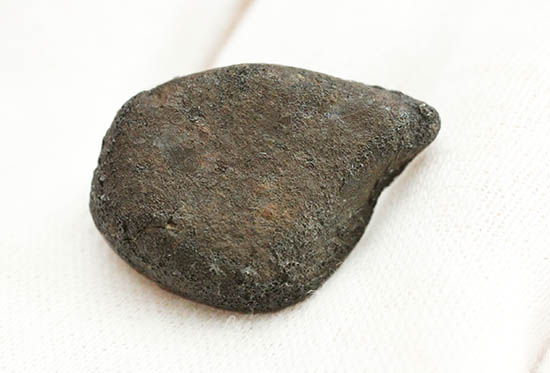 4年前の冬に世界中のニュースをかっさらったチェリャビンスク隕石。2013年2月15日落下（高級保存ケース付）（その4）