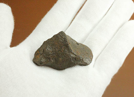 手に入れやすい価格！鉄隕石。キャニオンディアブロ隕石(Canyon Diablo)/新生代（6500万年前 -- 現在）【ot1017】