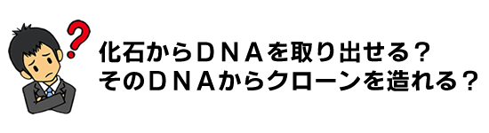 化石からＤＮＡを取り出してクローンを復元できるか？