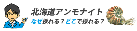 北海道からアンモナイトが採れる理由とその地域