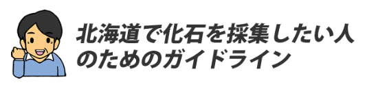 北海道アンモナイトの採集ガイドライン